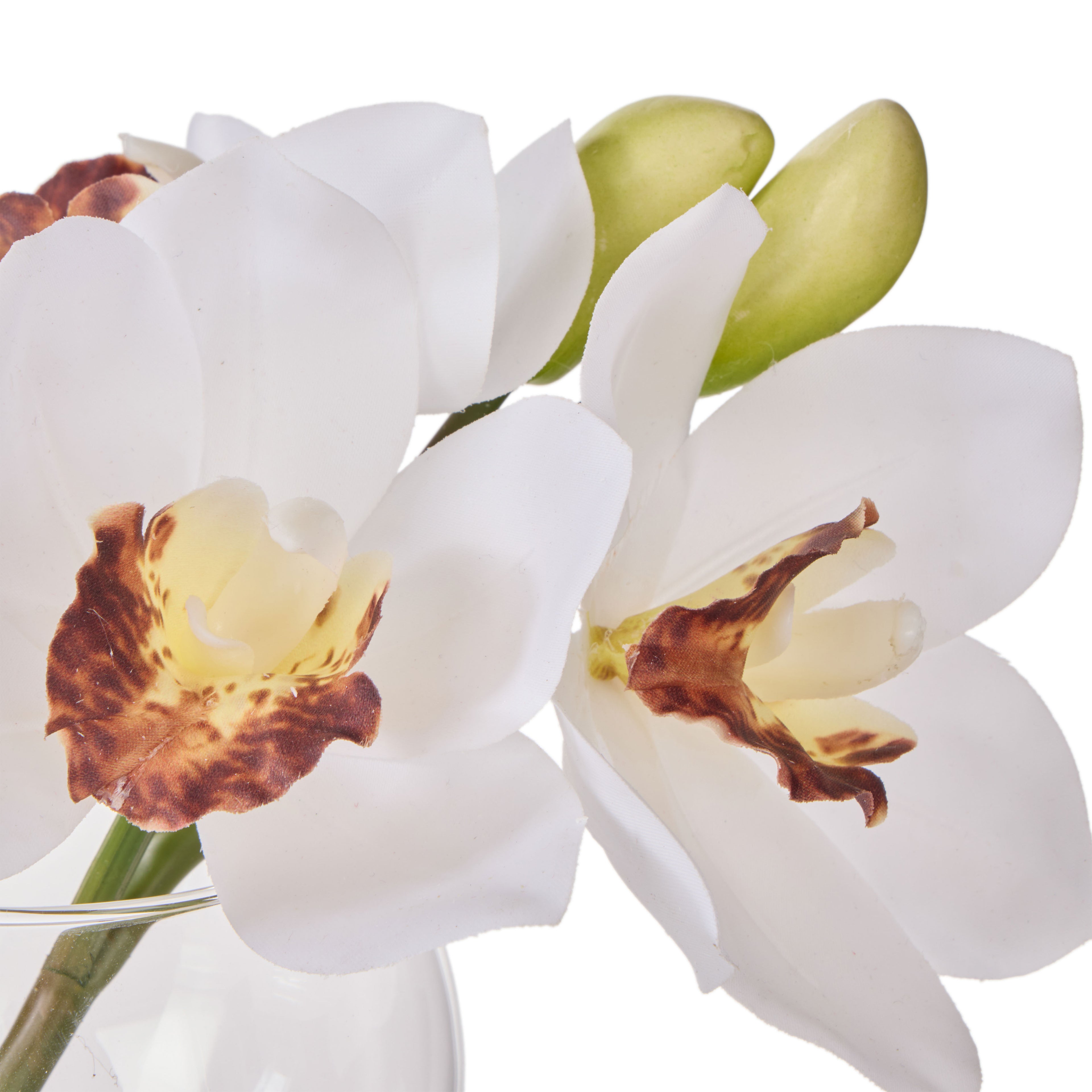 Faux Cymbidium - Glass Vase | White -  16cm