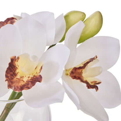 Faux Cymbidium - Glass Vase | White -  16cm