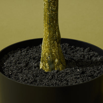 Faux Eucalyptus Gumnut Tree - Garden Pot | 120cm