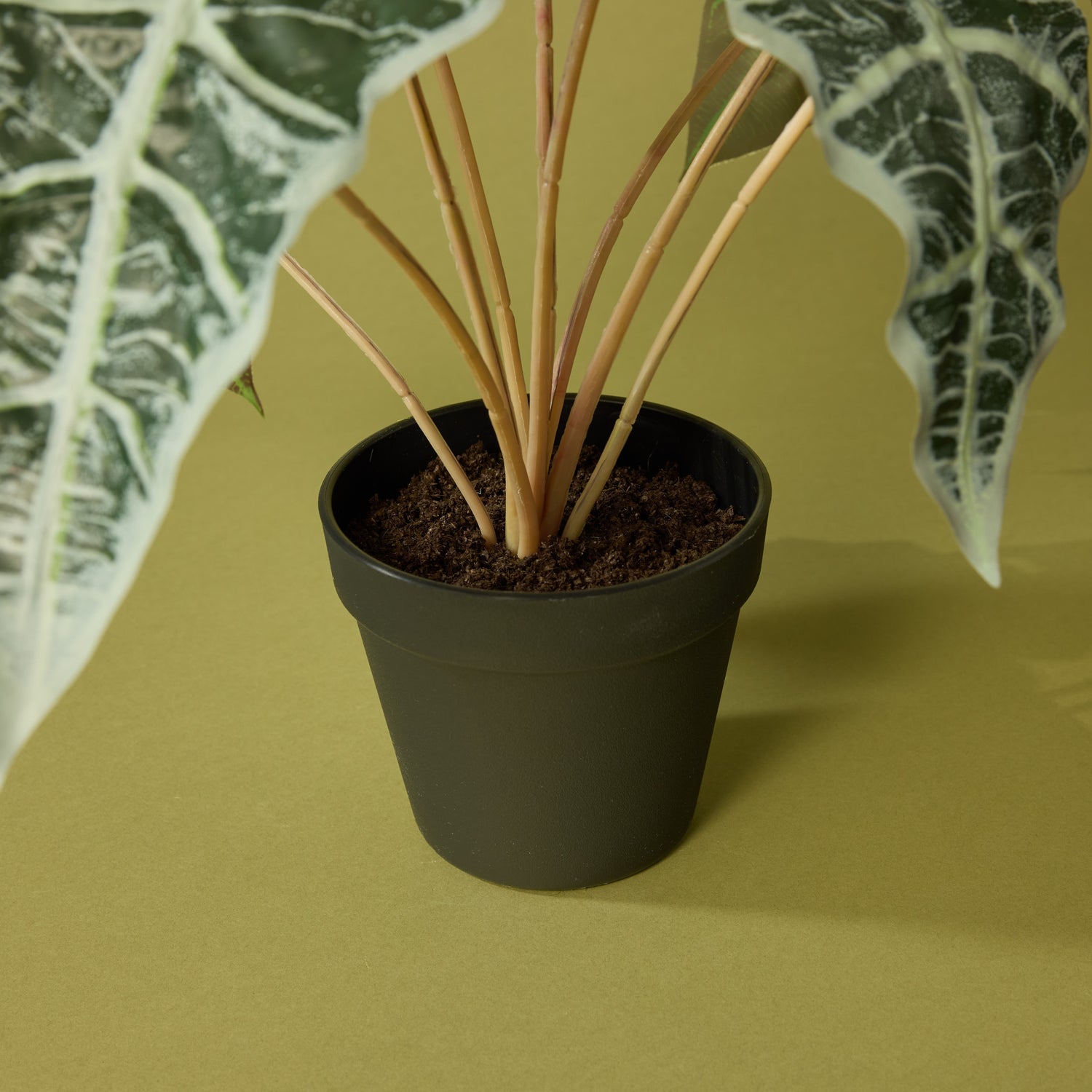 Faux Alocasia - Garden Pot | 43cm