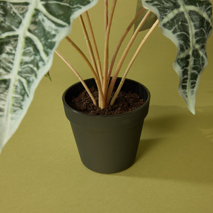 Faux Alocasia - Garden Pot | 43cm
