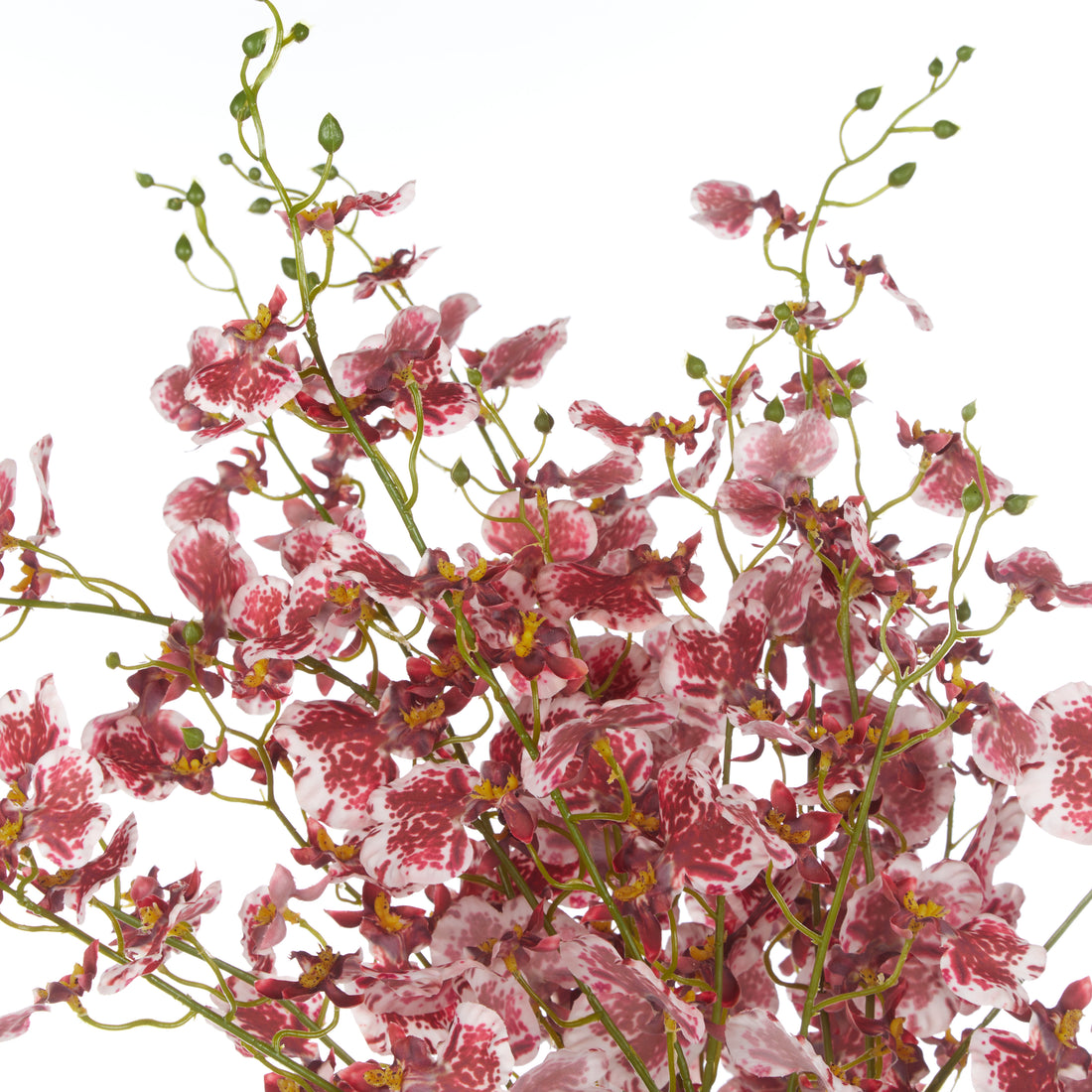 Faux Dancing Orchids -  Rachel Vase | Burgundy - 57cm