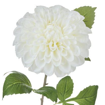 Rogue Chrysanthemum Stem White