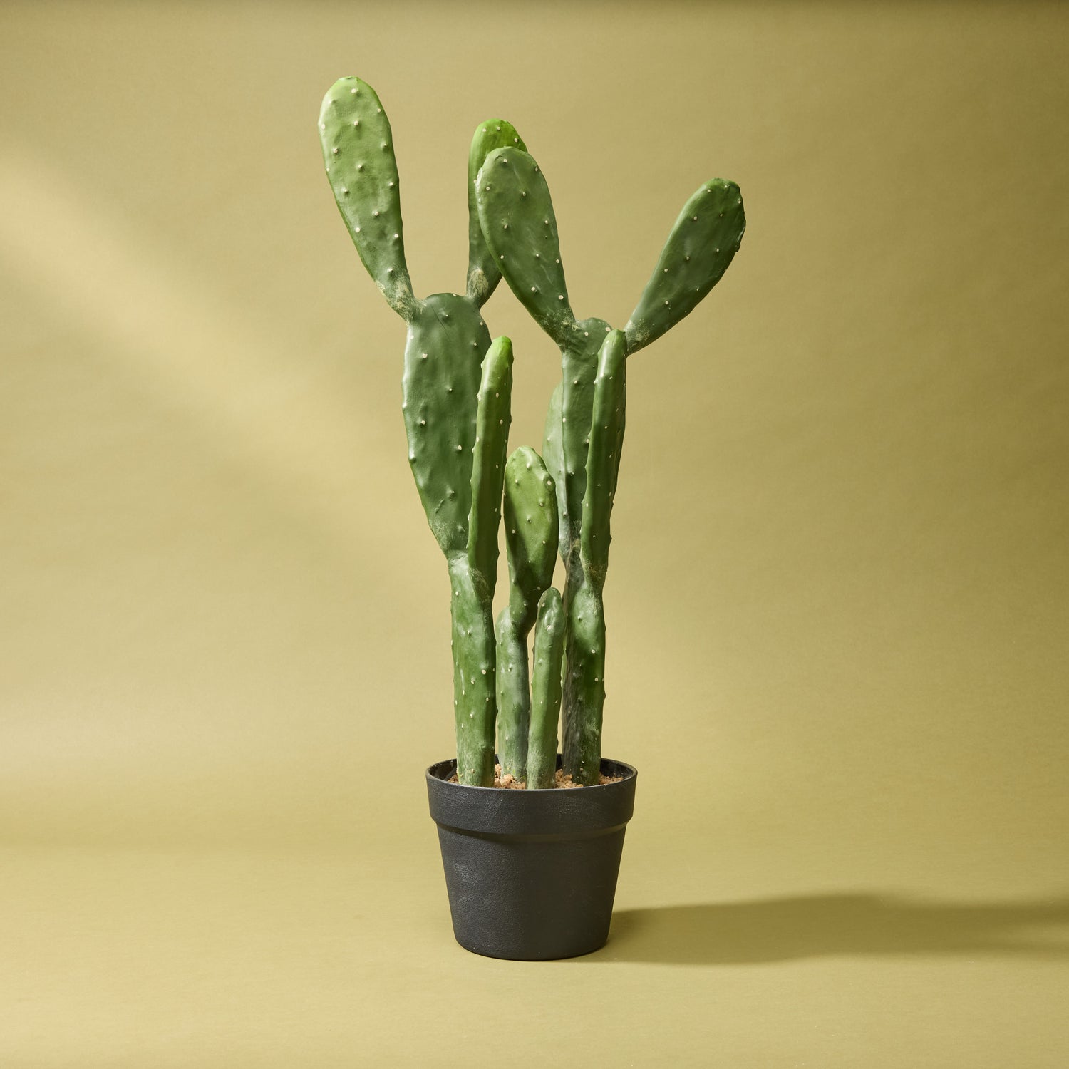 artificial prickly pear cactus Artificial Pear Cactus - Garden Pot | 64cm