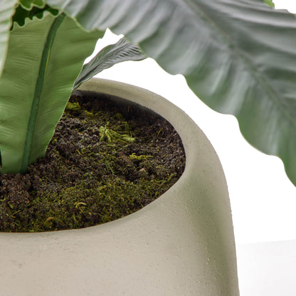 Faux Birds Nest Fern UV Treated - Lyon Planter | Green  - 55cm