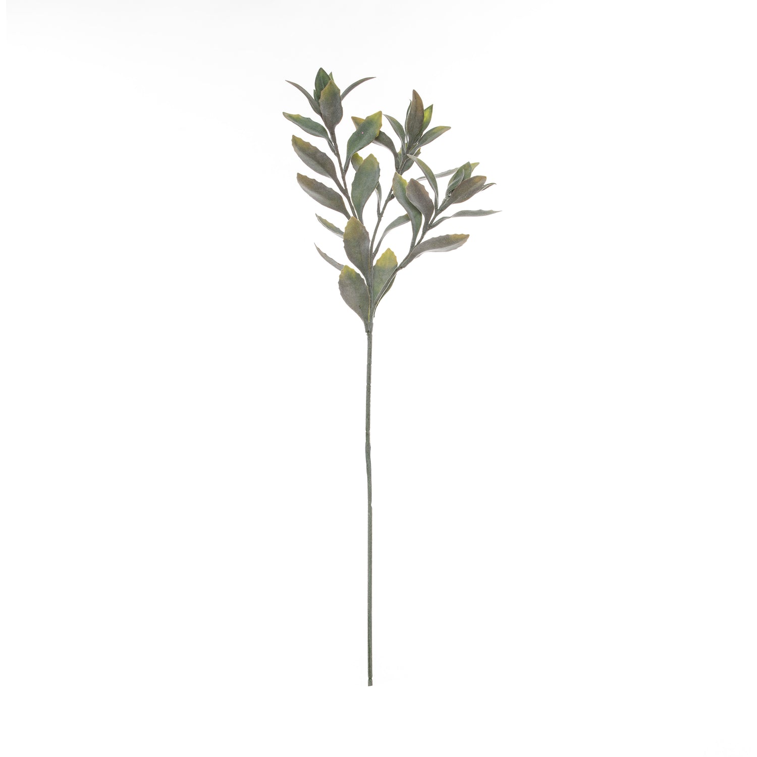Faux Leucadendron Leaf Stem | Green - 66cm