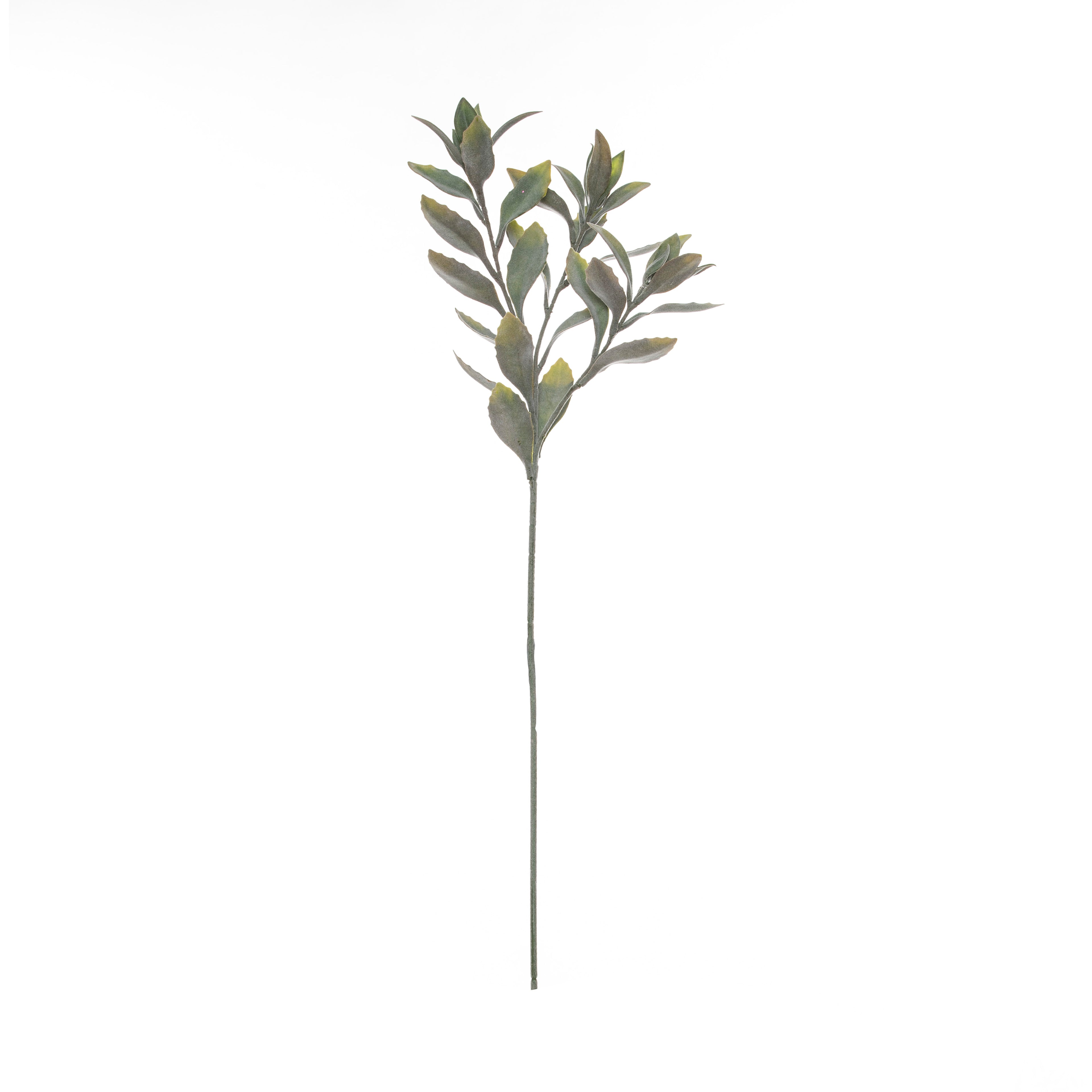 Faux Leucadendron Leaf Stem | Green - 66cm
