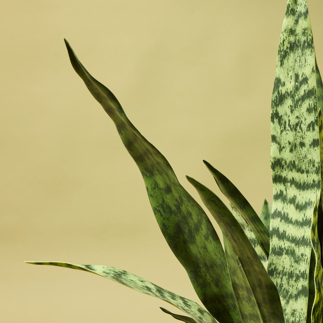 Faux Sanseveria - Standing Planter | 85cm