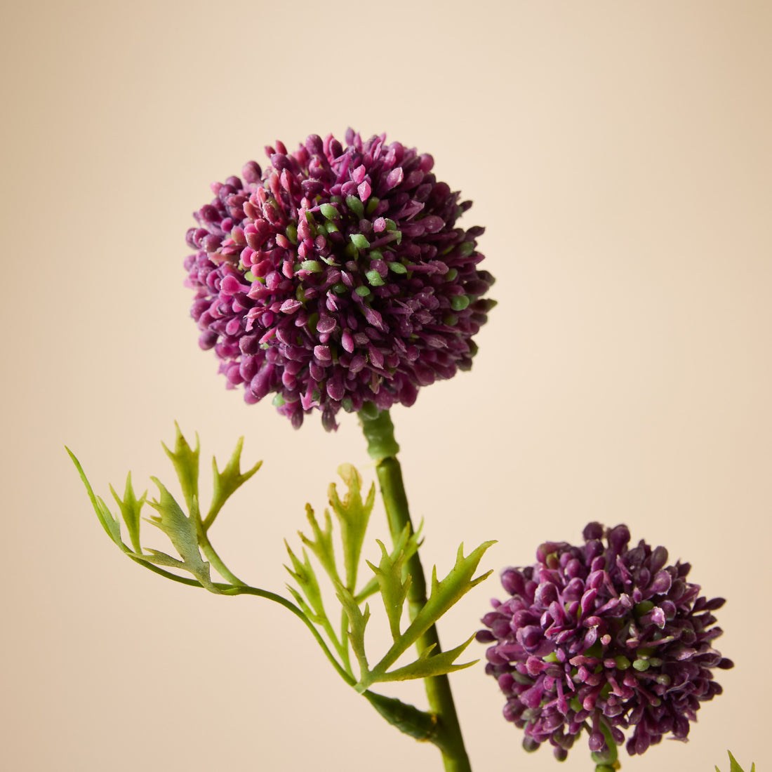 Faux Mini Allium Stem | Burgundy - 64cm