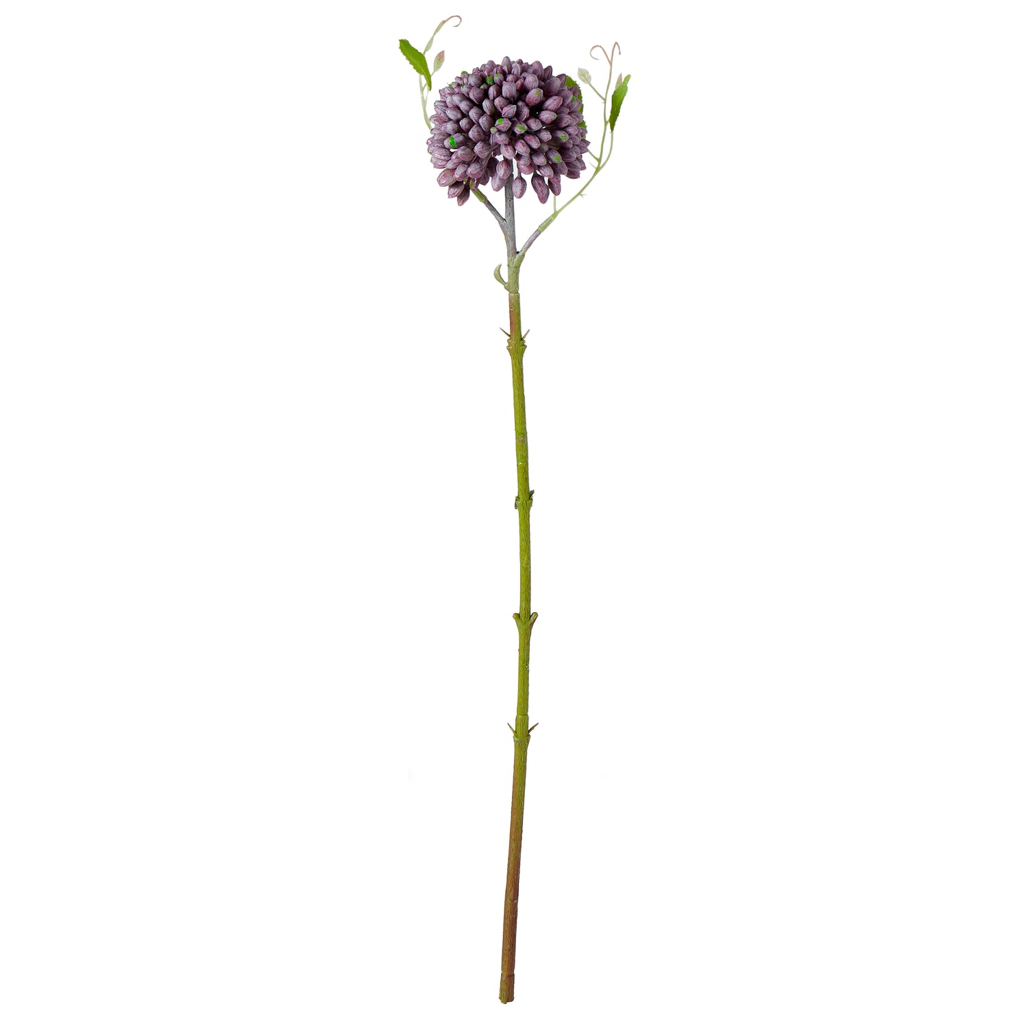 Faux Sedum Stem | Purple - 60cm