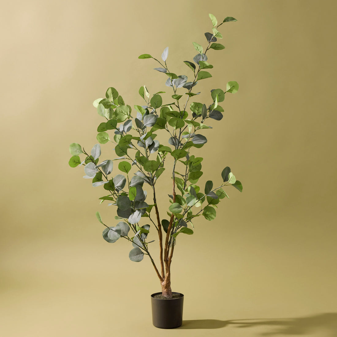 Faux Eucalyptus Silver Dollar Tree | 120cm