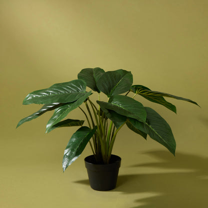 Faux Philodendron UV Treated Garden Pot - 60cm