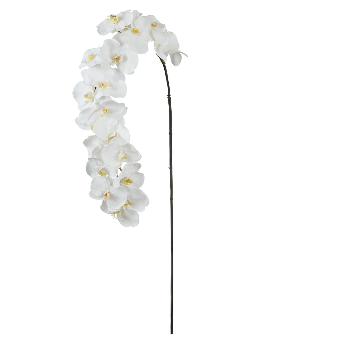 Faux Grand Phalaenopsis Orchid Stem | White - 80cm