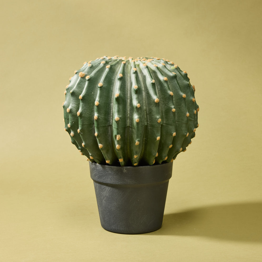 Faux Barrel Cactus | 35cm