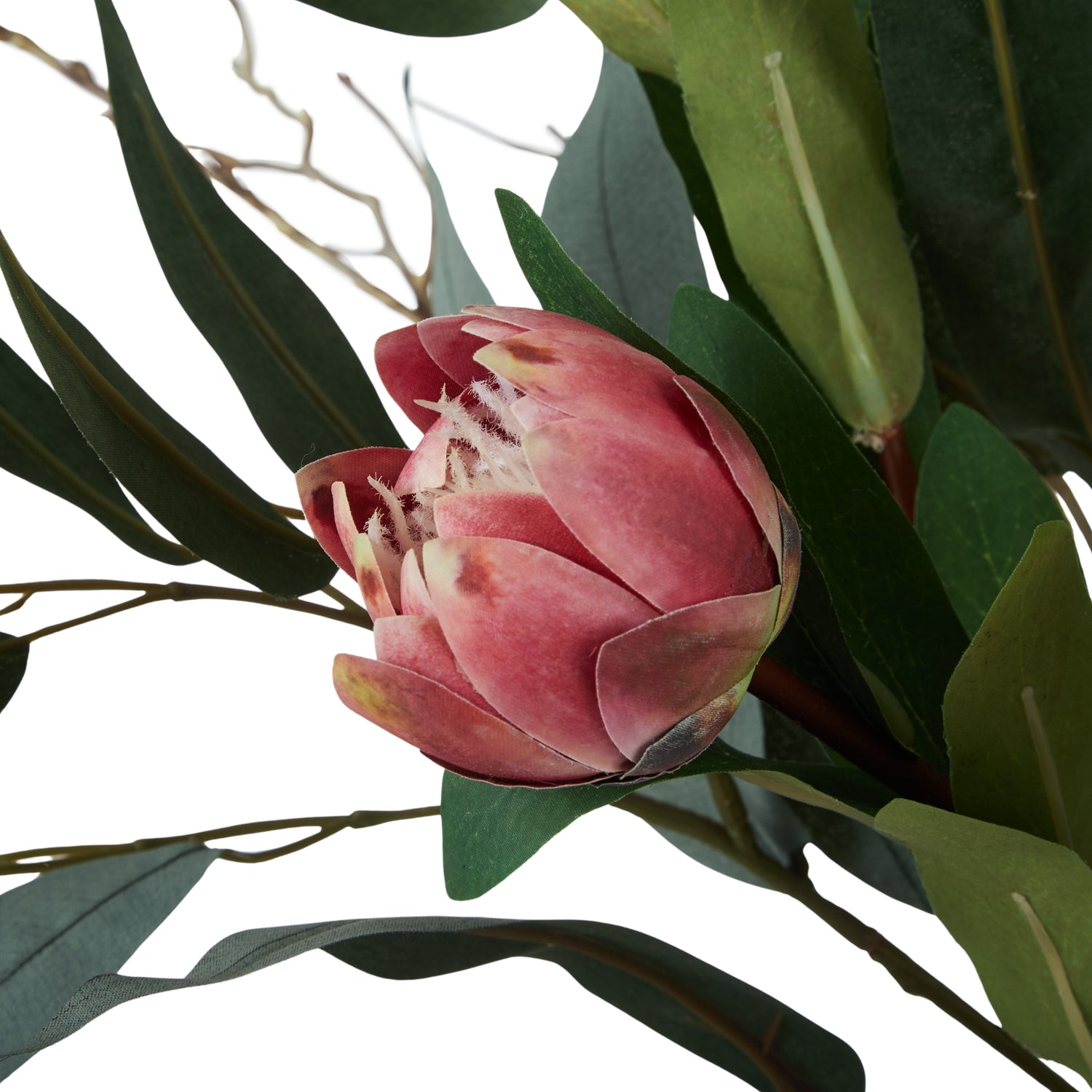 Faux Protea Eucalyptus Mix Arrangement - Alana Vase