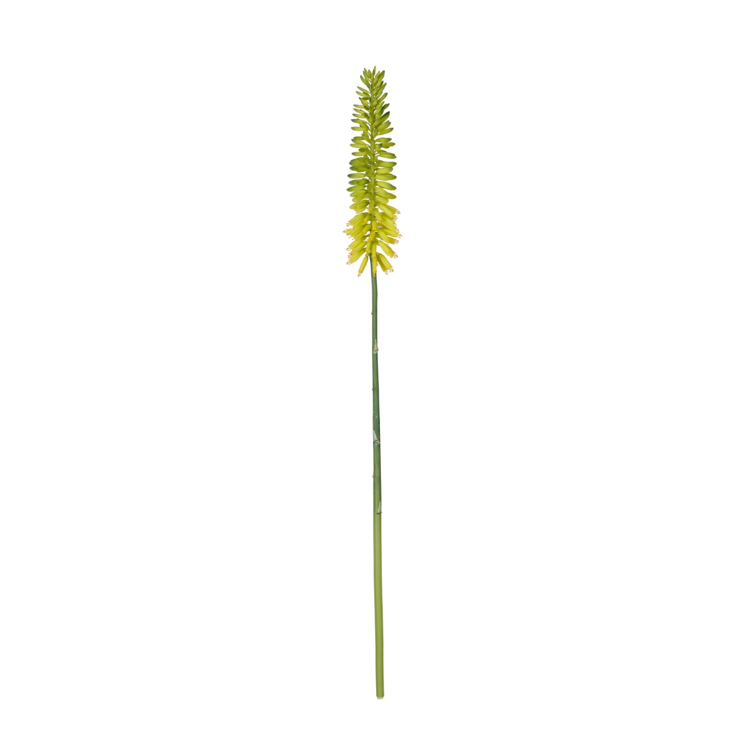 Faux Torch Lily Stem | Yellow - 87cm
