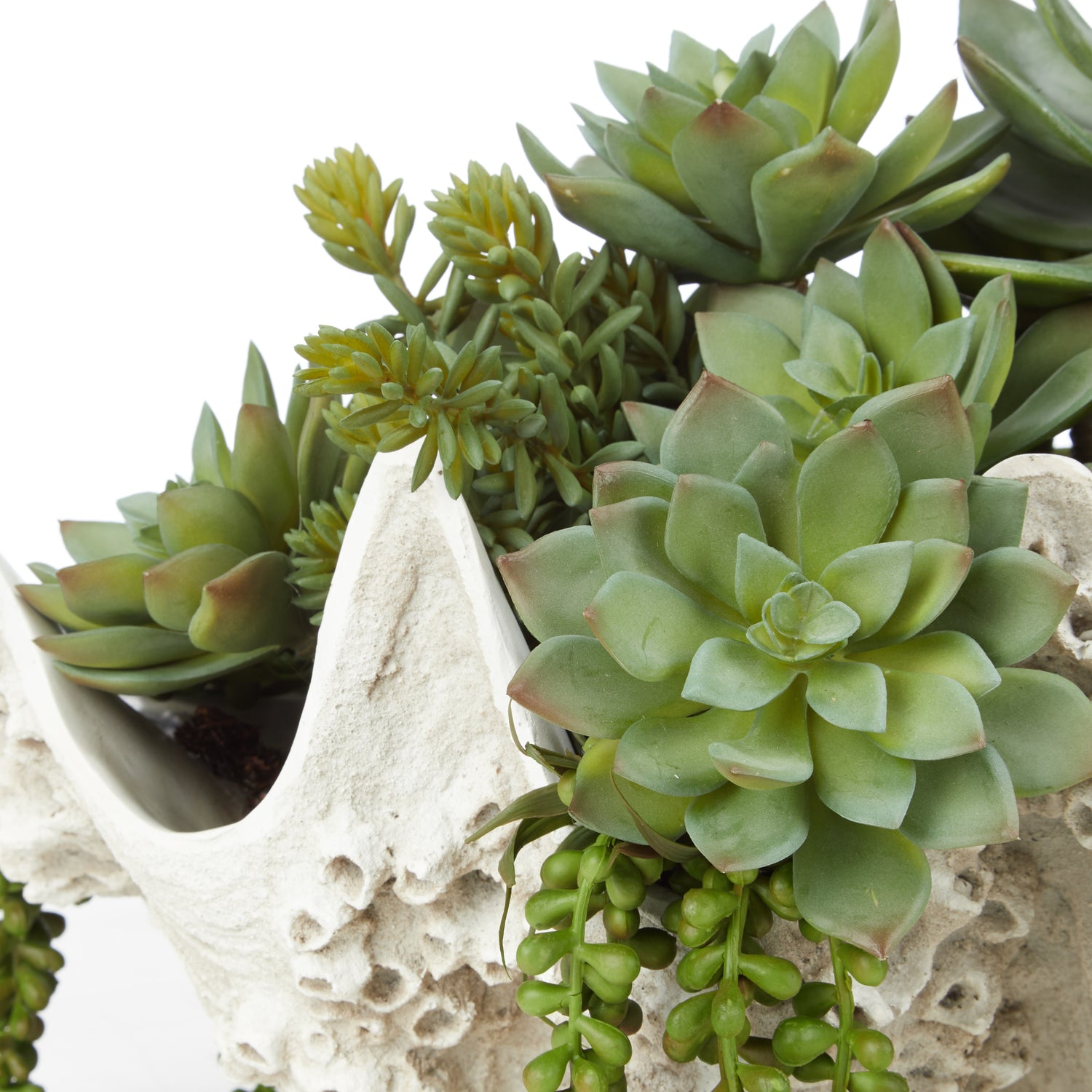 clam succulent Artificial Succulent Mix - Seychelles Clam Vessel | 52cm