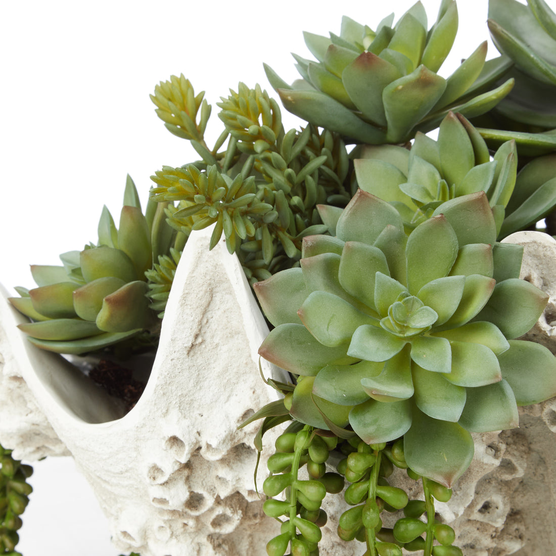 Faux Succulent Mix - Seychelles Clam Vessel | 52cm