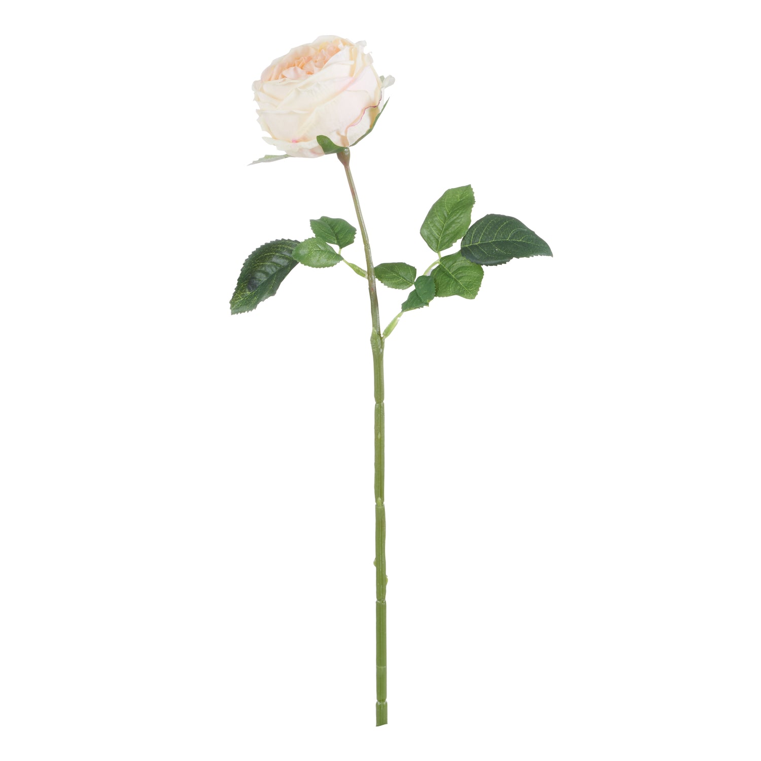 Faux Austin Rose Stem | Light Pink - 45cm