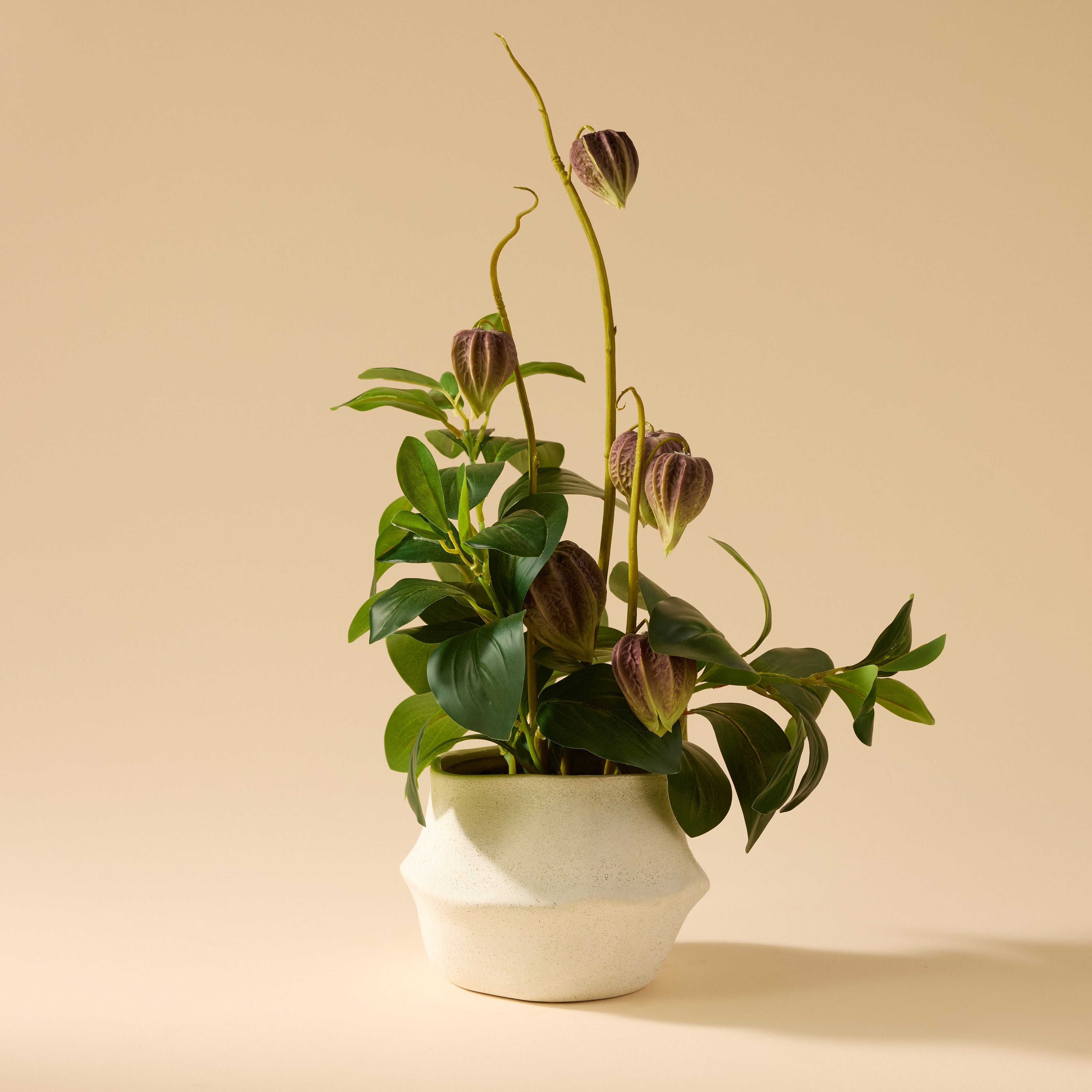 Faux Chinese Lantern Lush Leaf - Maliah Pot Wide | Green - 60cm