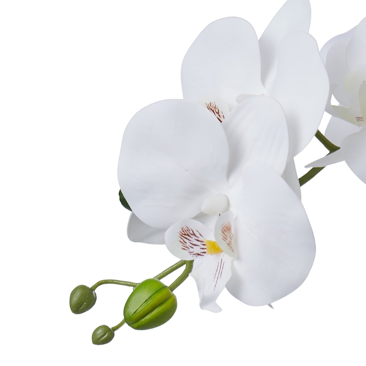 Faux Phalaenopsis in Glass Vase | White - 22cm