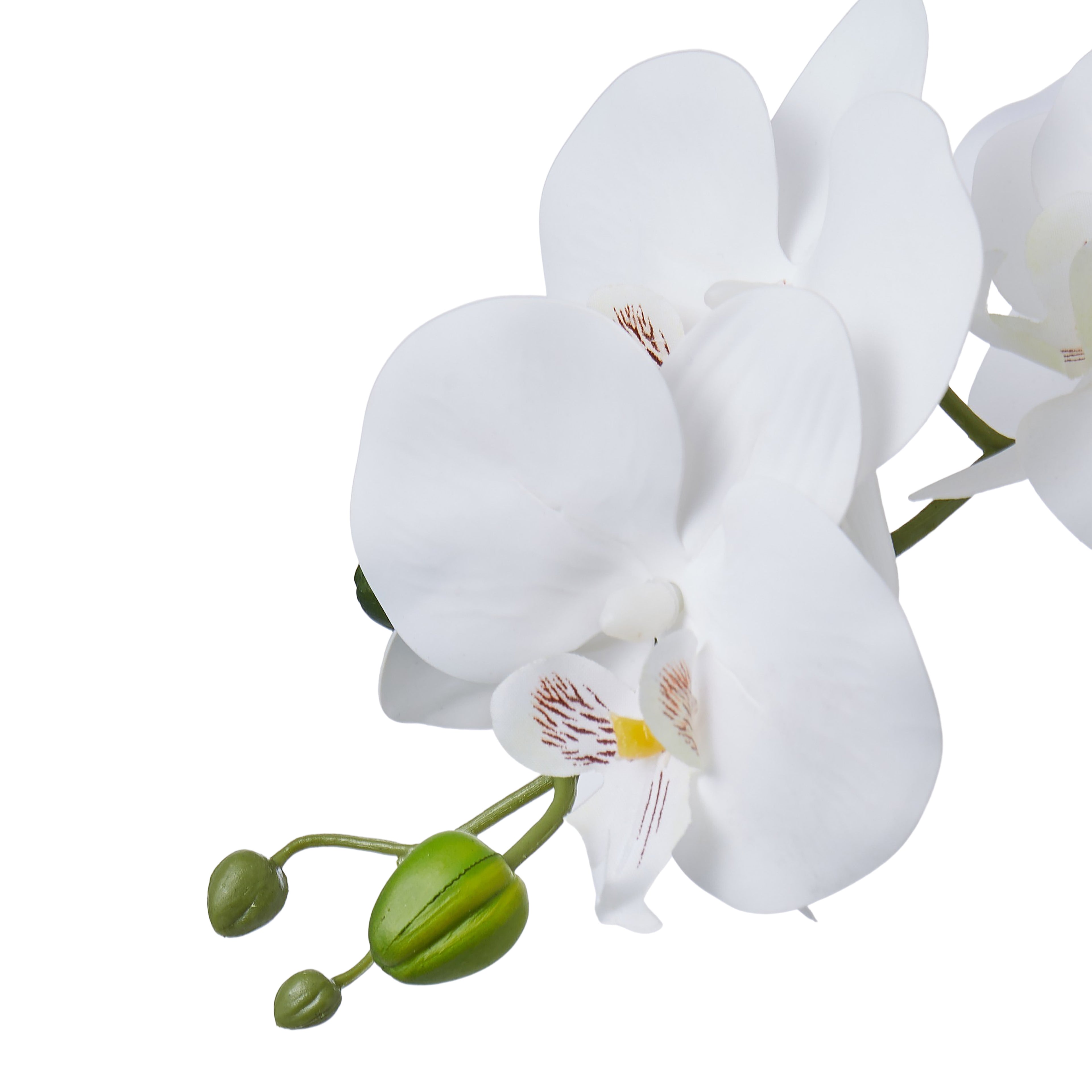 Faux Phalaenopsis in Glass Vase | White - 22cm