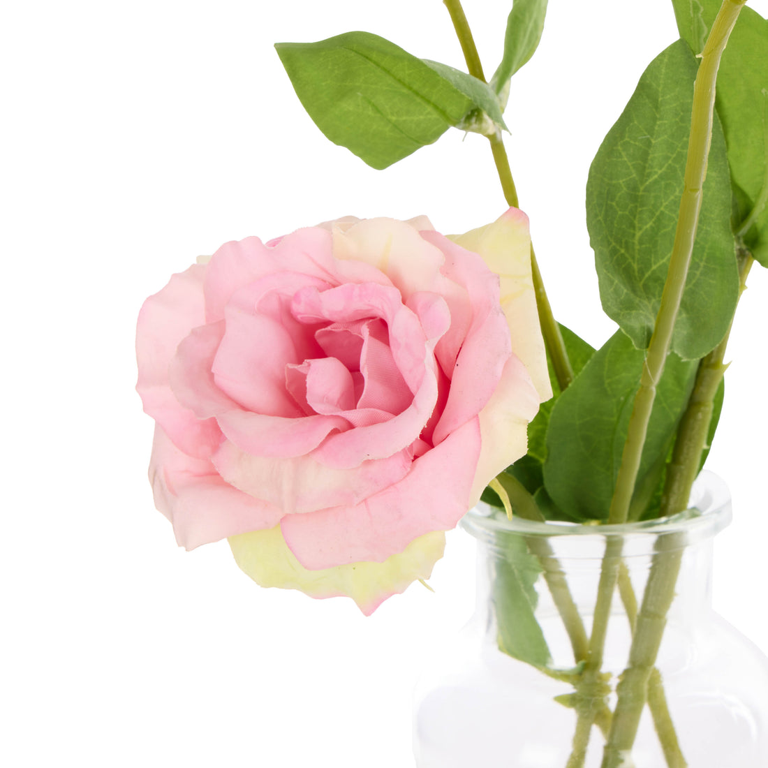 Rogue Lisanthus - Specimen Glass Vase Pink