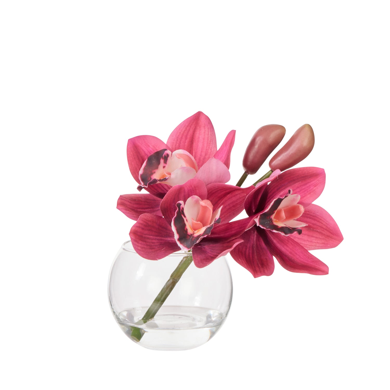 Faux Cymbidium - Glass Vase | Burgundy -  16cm