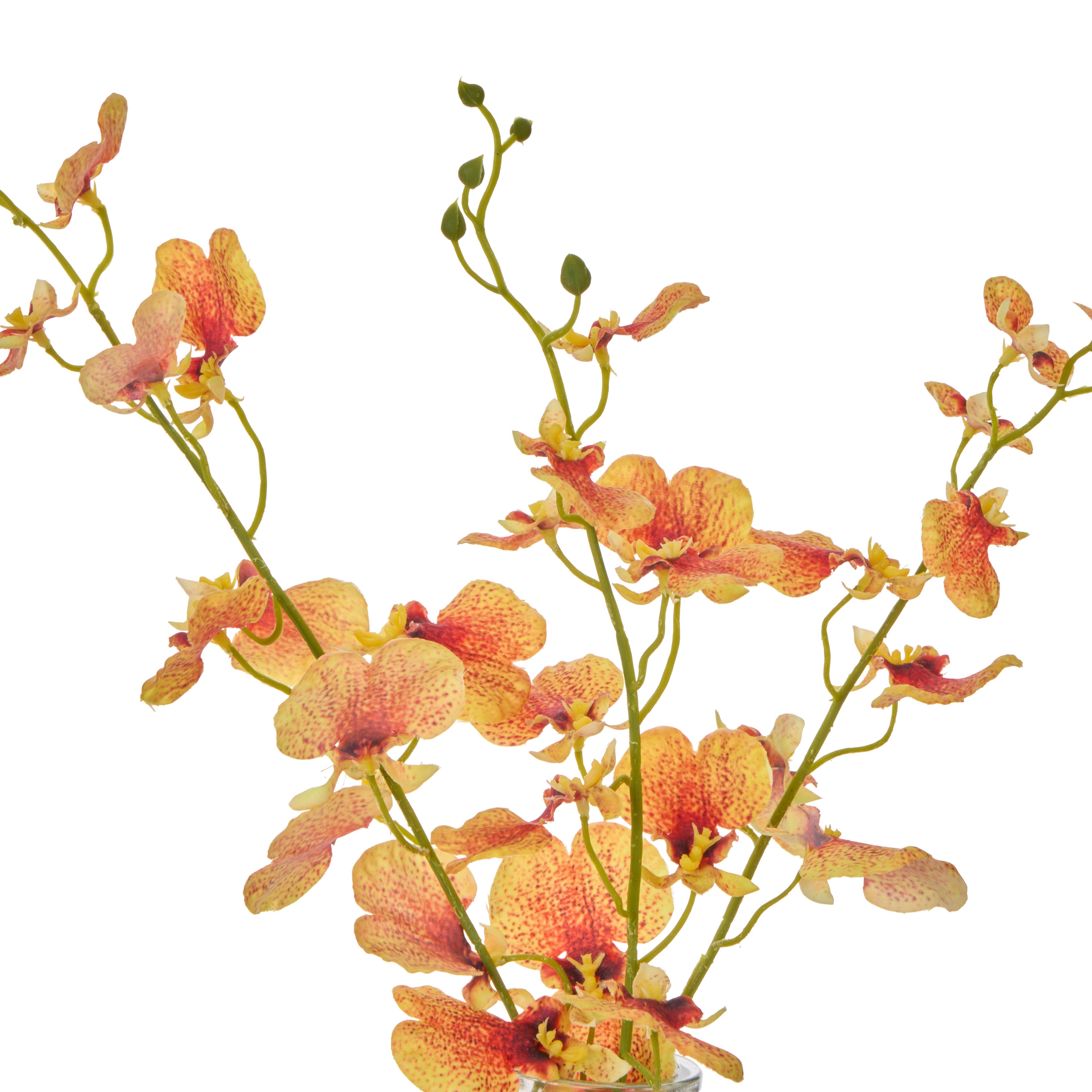 Faux Dancing Orchid - Specimen Bottle | Orange -  36cm