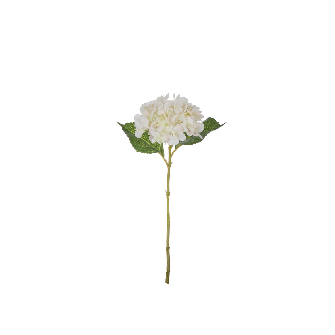 Rogue Hydrangea Stem White