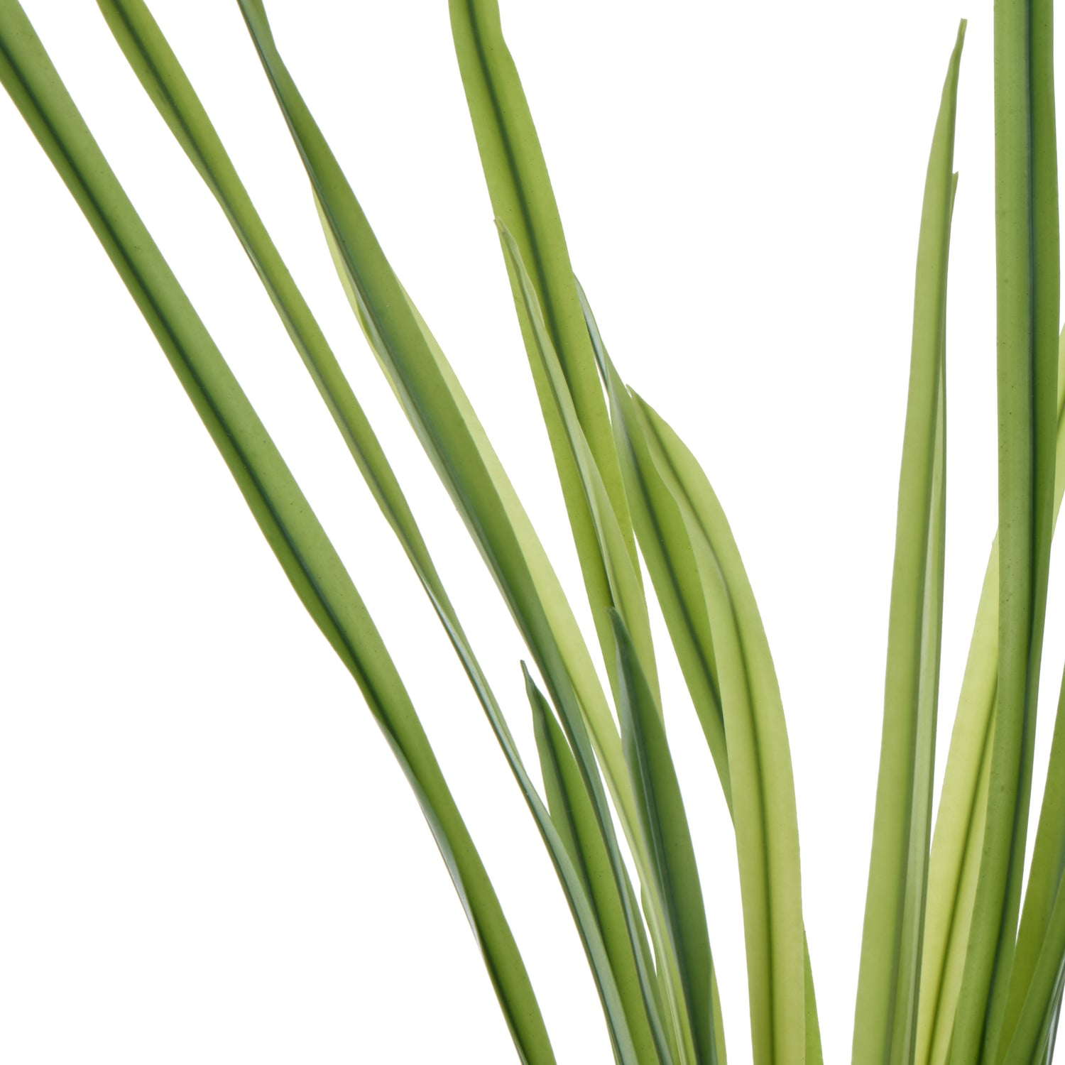 Faux Grass Plant | Green - 60cm