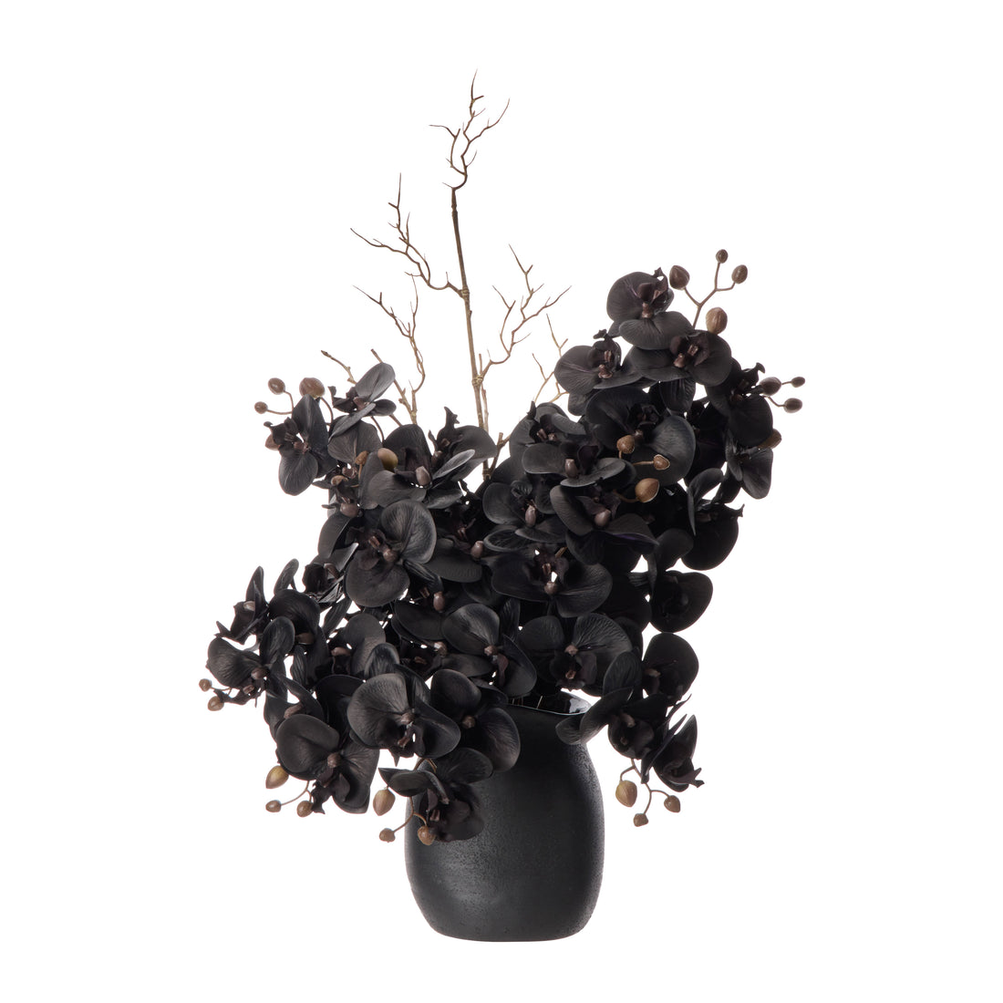 Faux Phalaenopsis - Maliah Pot | Black -  65cm