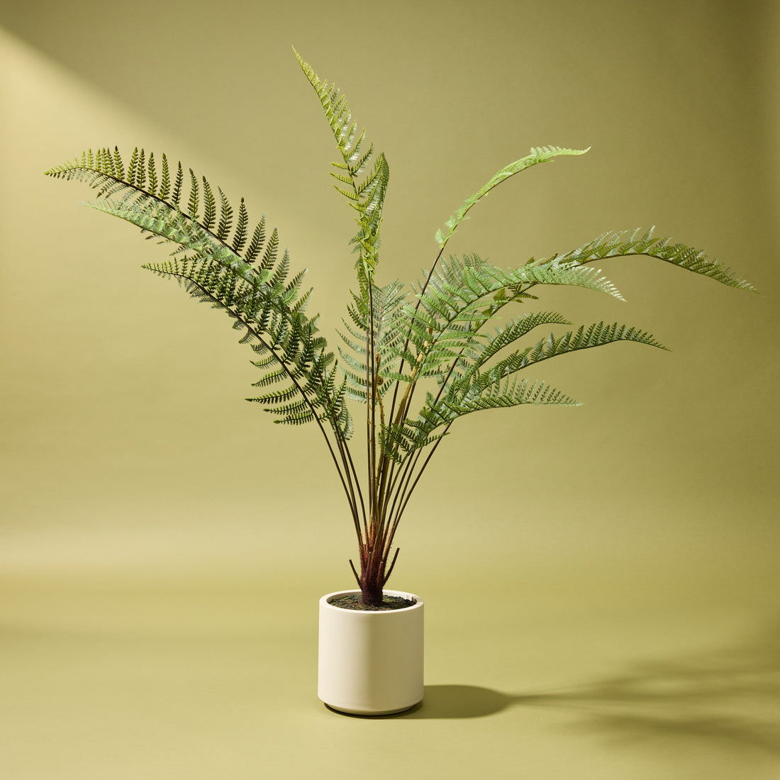 Faux Potted Fern | 133cm