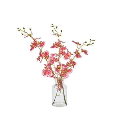Faux Dancing Orchid - Specimen Bottle | Burgundy -  36cm
