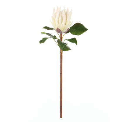 Faux King Protea Stem | White - 60cm
