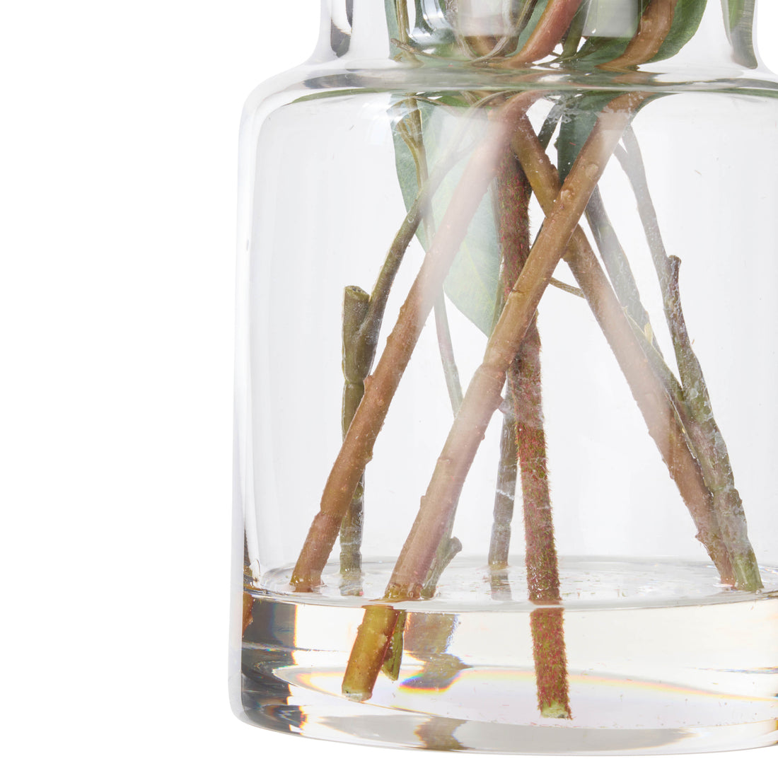 Rogue Pitaya Kangaroo Paw - Pail Vase Cream &amp; Green