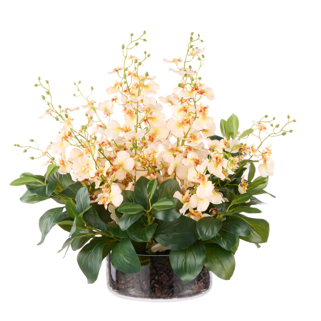Rogue Dancing Orchid - Small Madelyn Bowl Cream