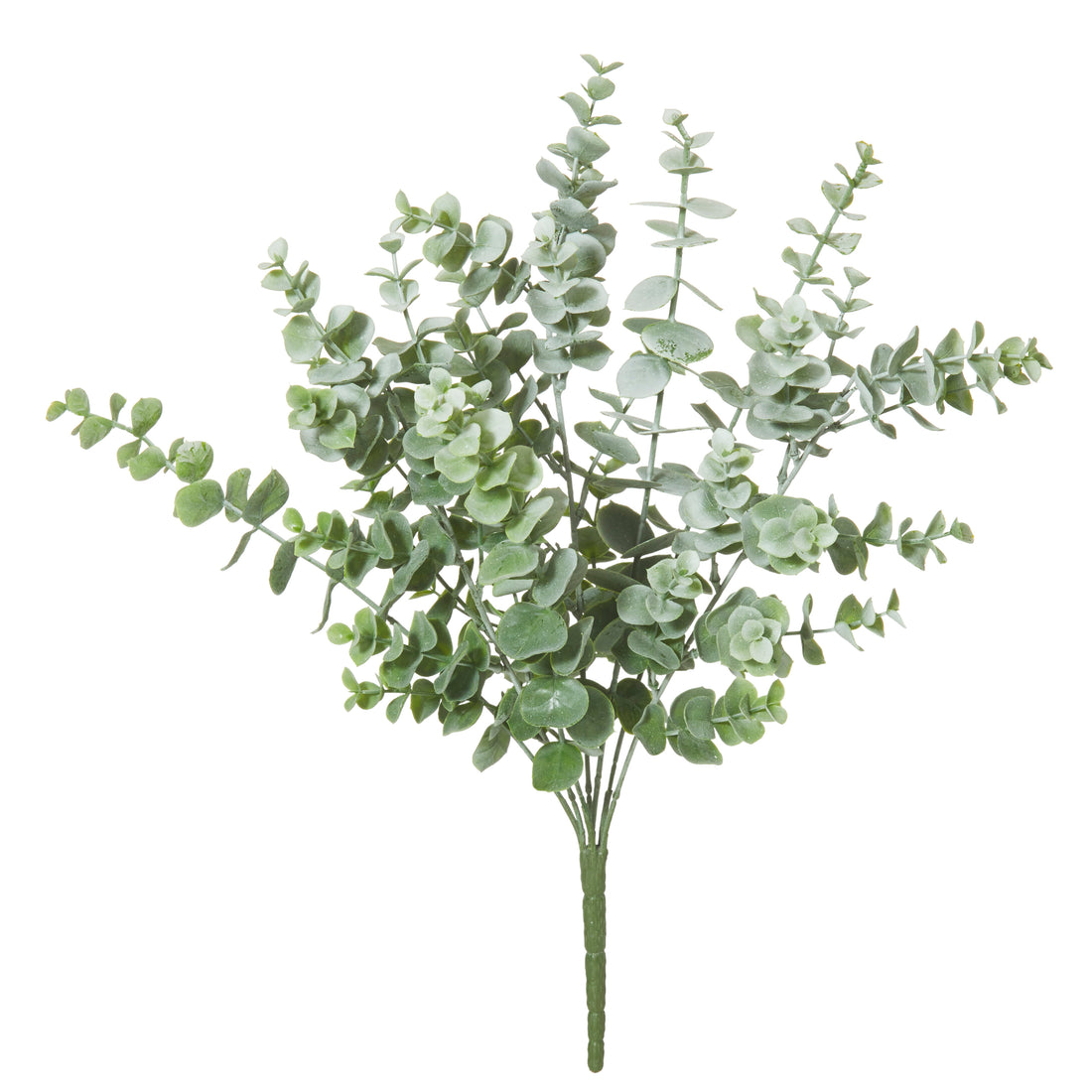 Rogue Eucalyptus Bush Grey Green