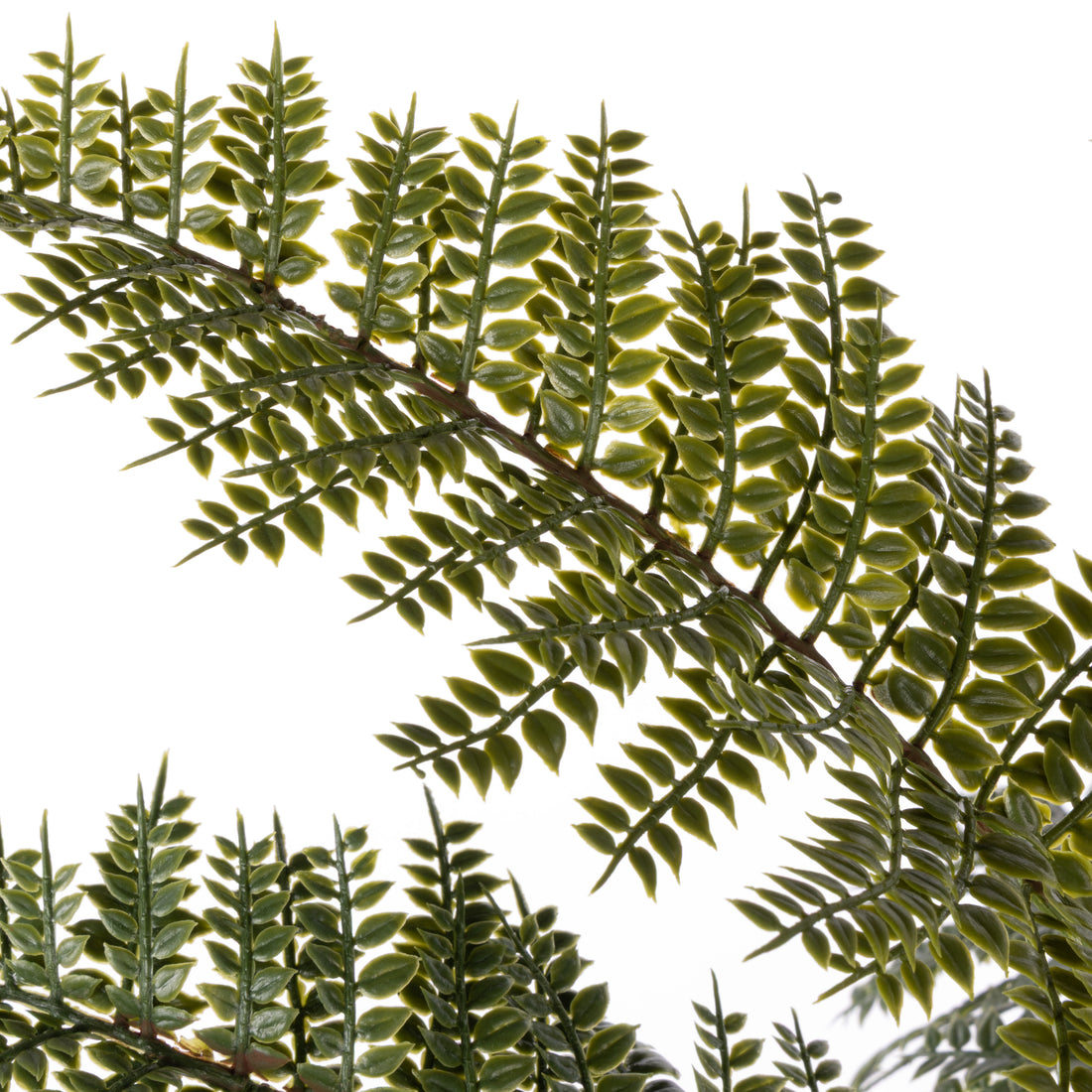 Faux Mountain Wood Fern Pot | White - 56cm