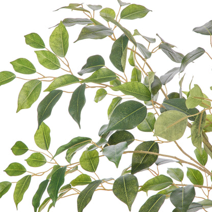 Faux Ficus Tree - White Pot | Green -  150cm
