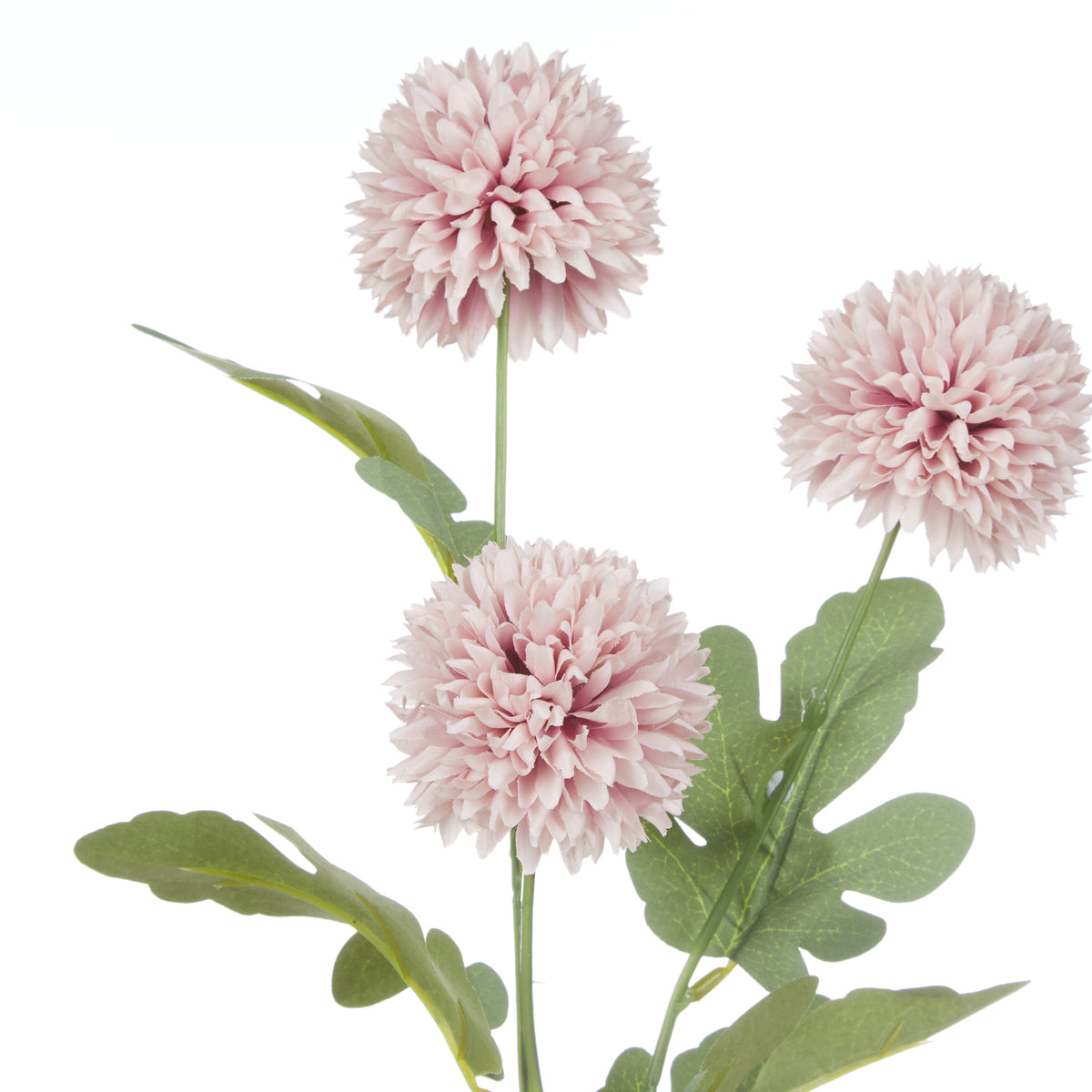 Rogue Kiku Spray Pink
