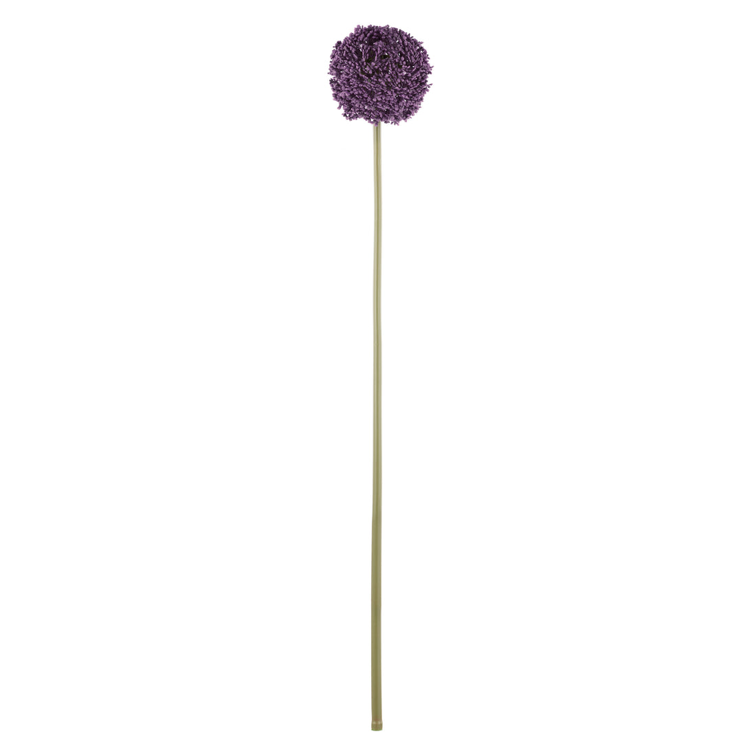 Rogue Allium Spray Grey Purple