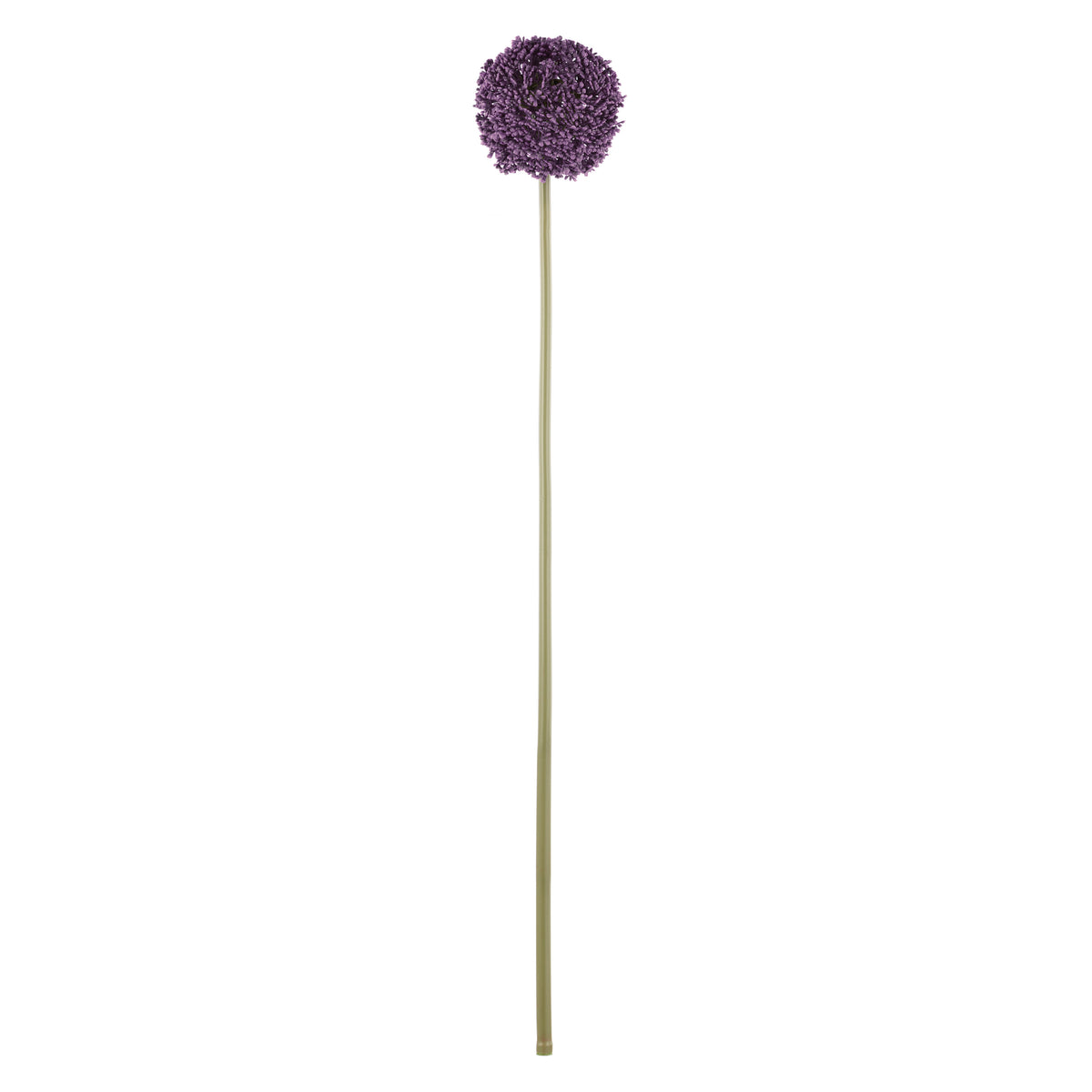 Rogue Allium Spray Grey Purple
