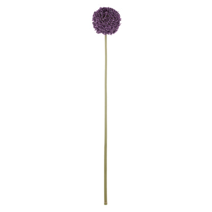 Rogue Allium Spray Grey Purple