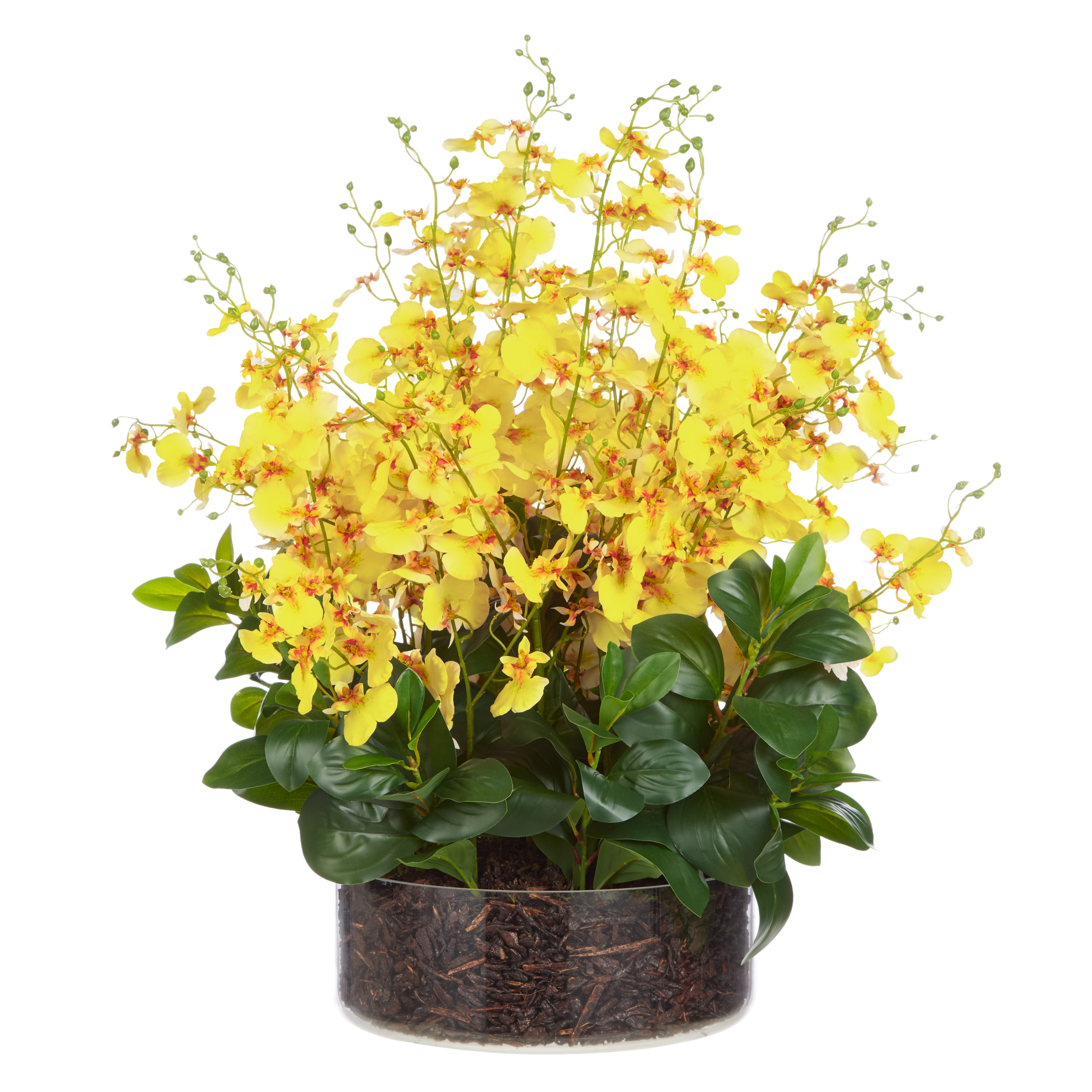 Faux Dancing Orchids - Madelyn Bowl | Yellow - 67cm