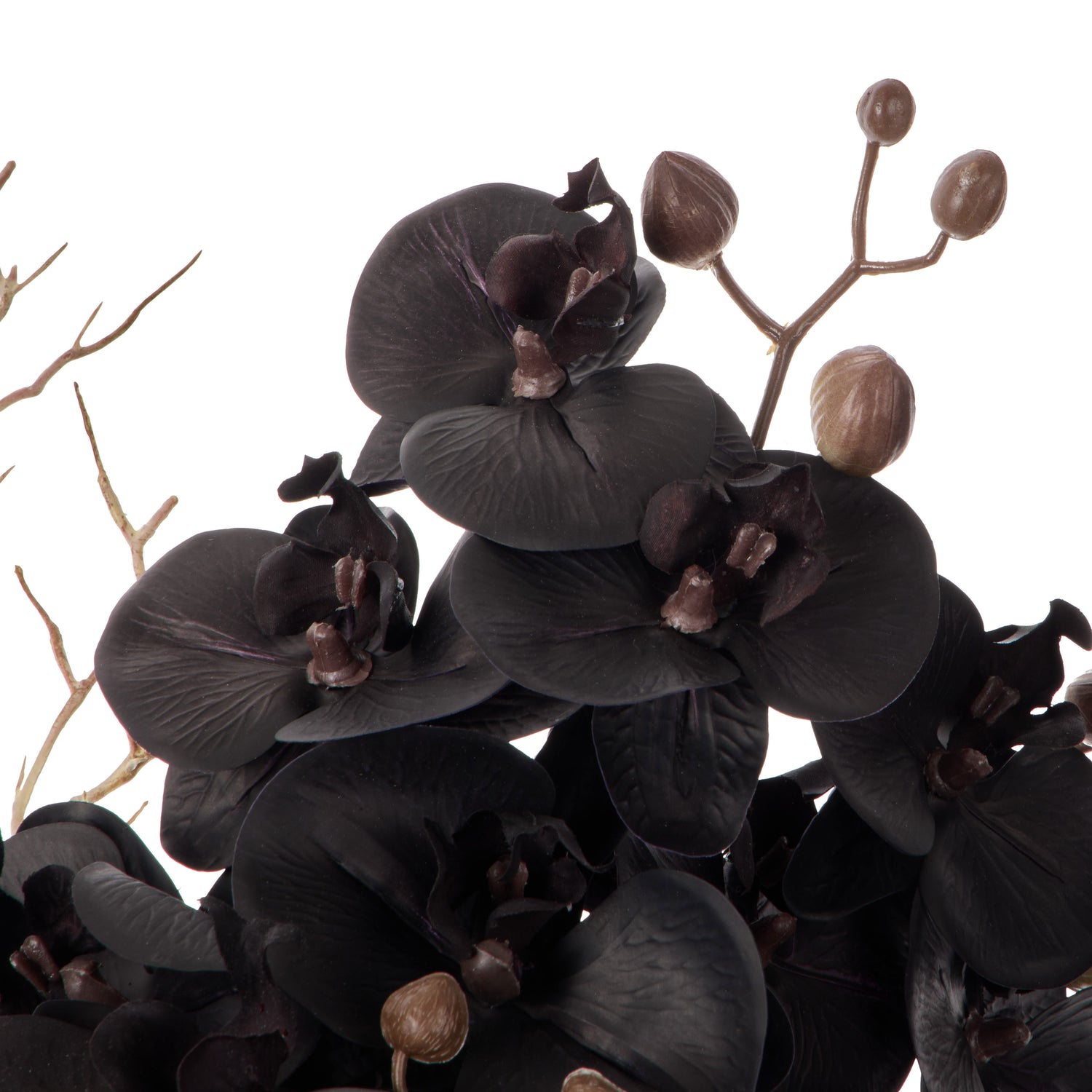 Faux Phalaenopsis - Maliah Pot | Black -  65cm