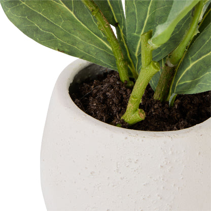 Faux Peony Plant -  Tub Pot | White -  29cm