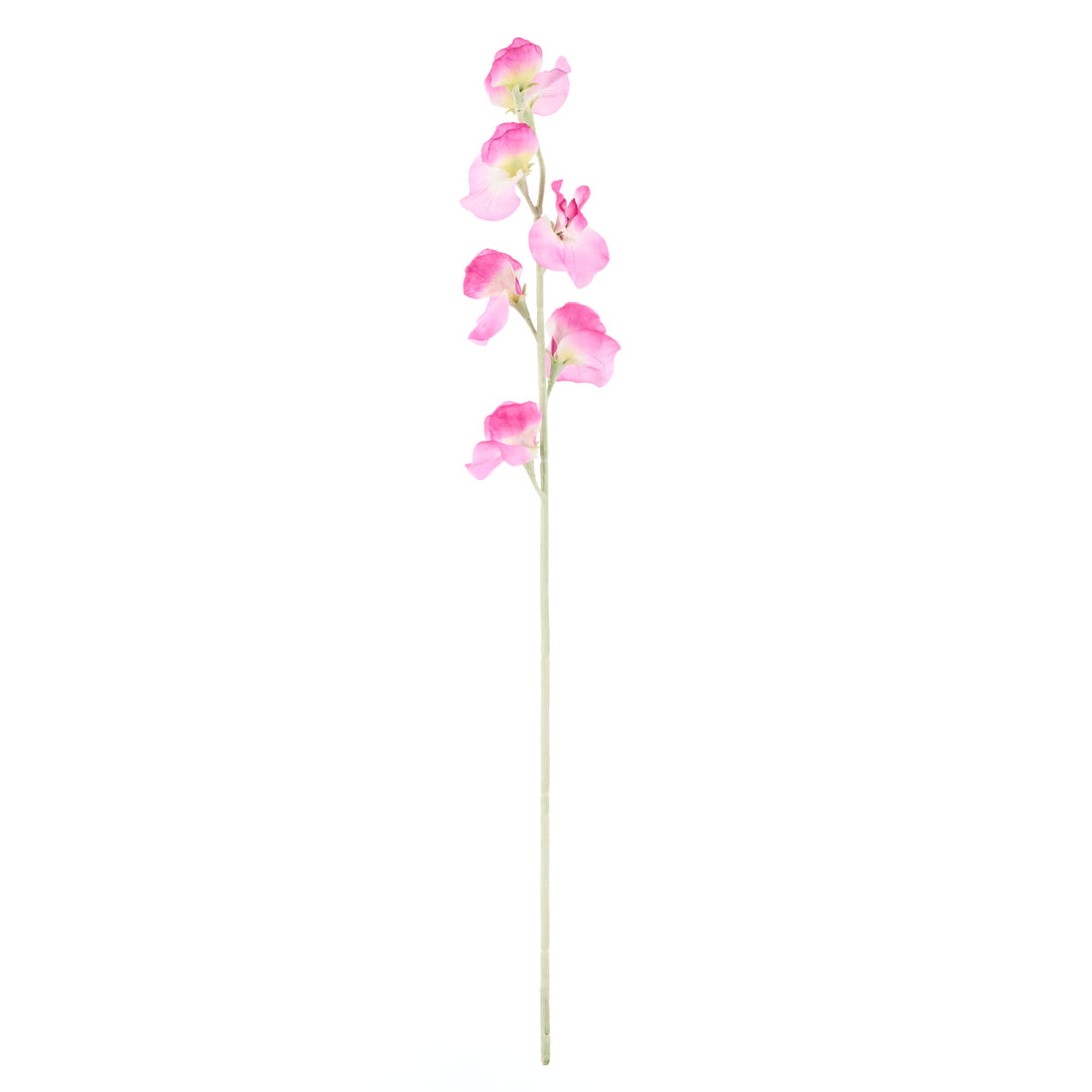 Faux Sweet Pea Spray | Pink - 64cm