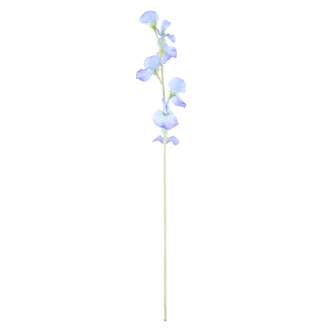 Faux Sweet Pea Spray | Blue - 64cm