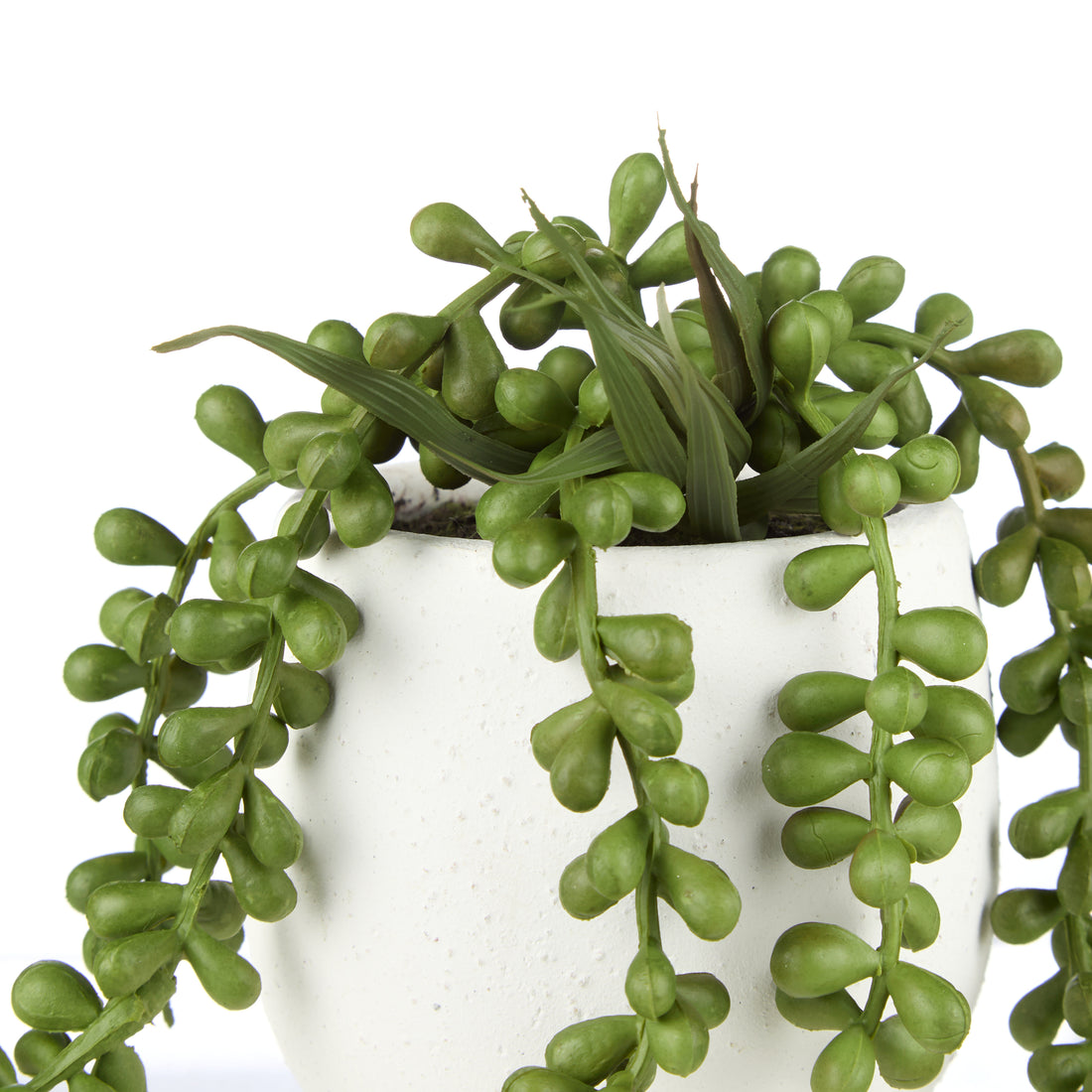 Rogue Hanging Pearls - Tub Pot Green &amp; White